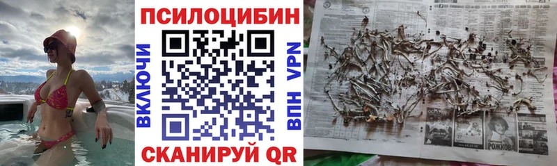 цены   Сельцо  Галлюциногенные грибы GOLDEN TEACHER 